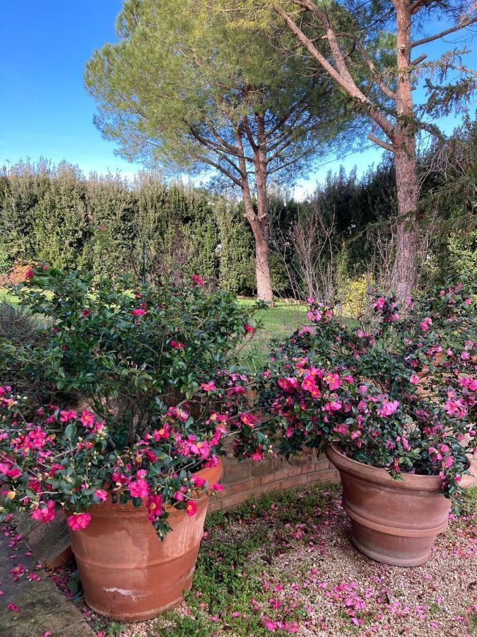 B&B Villa Fioreconero Montacuto Екстериор снимка